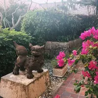 宮古島東急リゾートの写真・動画_image_320661