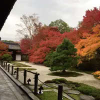南禅寺の写真・動画_image_320663