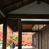 南禅寺の写真・動画_image_320667