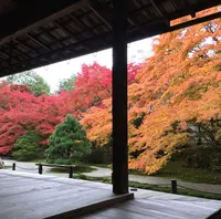 南禅寺の写真・動画_image_320670