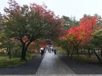 南禅寺の写真・動画_image_320672