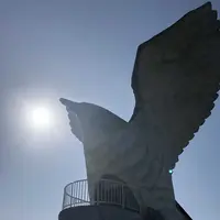 フナウサギバナタの写真・動画_image_320710