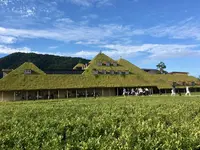 ラコリーナ近江八幡の写真・動画_image_320820