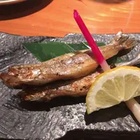 磯くらの写真・動画_image_320927