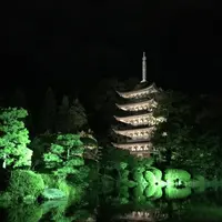 瑠璃光寺五重塔の写真・動画_image_320930