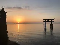 白鬚神社の写真・動画_image_320999