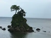 国定公園 雨晴海岸の写真・動画_image_321009