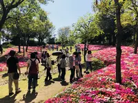 淡路島国営明石海峡公園の写真・動画_image_321058