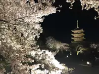東寺（教王護国寺）の写真・動画_image_321066