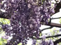 和気町歴史民俗資料館の写真・動画_image_321126