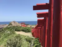 元乃隅神社の写真・動画_image_321131