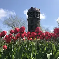 百合が原公園の写真・動画_image_321134