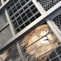 ノースサファリサッポロの写真・動画_image_321137