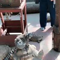 ノースサファリサッポロの写真・動画_image_321139