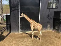ノースサファリサッポロの写真・動画_image_321140