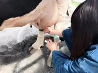 北海道箱根牧場の写真・動画_image_321148