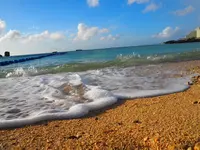 きしもと食堂の写真・動画_image_321152