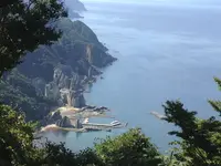 仏ヶ浦の写真・動画_image_321232