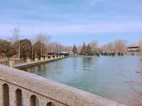 トロントアイランド（Toronto Island）の写真・動画_image_321274