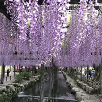 天王川公園の写真・動画_image_321373