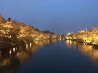 弘前公園（鷹揚公園）の写真・動画_image_321378