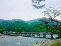 渡月橋の写真・動画_image_321428