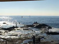 江の島の写真・動画_image_321444