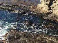 江の島の写真・動画_image_321446