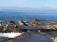 江の島の写真・動画_image_321447