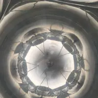 金沢市の写真・動画_image_321587