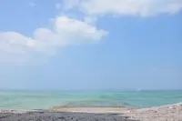 西桟橋の写真・動画_image_321635