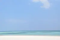 コンドイ浜の写真・動画_image_321637