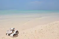 コンドイ浜の写真・動画_image_321638