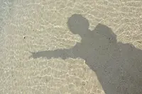 コンドイ浜の写真・動画_image_321639