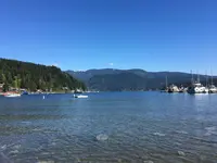 ディープ・コーブの写真・動画_image_321660