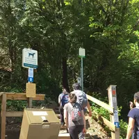 ディープ・コーブの写真・動画_image_321662