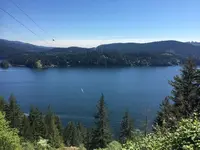 ディープ・コーブの写真・動画_image_321663