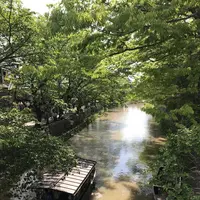 八幡堀の写真・動画_image_321668