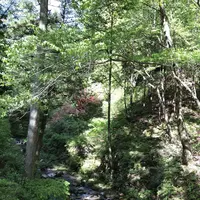 榛名神社の写真・動画_image_321704