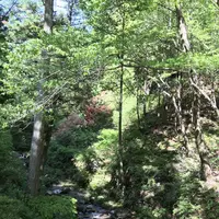 榛名神社の写真・動画_image_321708