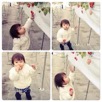 南伊豆*Baby Berry Farm*の写真・動画_image_321760