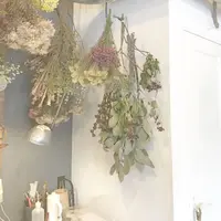 cotito ハナトオカシトの写真・動画_image_321815