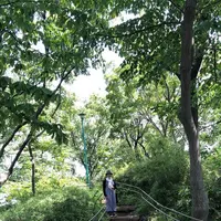 東板橋体育館の写真・動画_image_321872