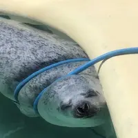 魚津水族博物館の写真・動画_image_321920