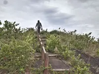 波浮港の写真・動画_image_321932
