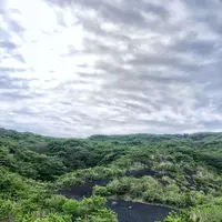 波浮港の写真・動画_image_321934