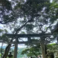 波浮港の写真・動画_image_321936
