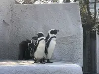 上野動物園の写真・動画_image_321941