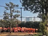 上野動物園の写真・動画_image_321944