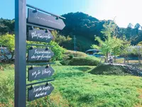 ドロフィーズカフェ （DLoFre's Cafe）の写真・動画_image_322048